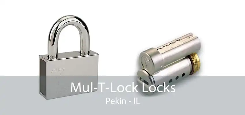 Mul-T-Lock Locks Pekin - IL